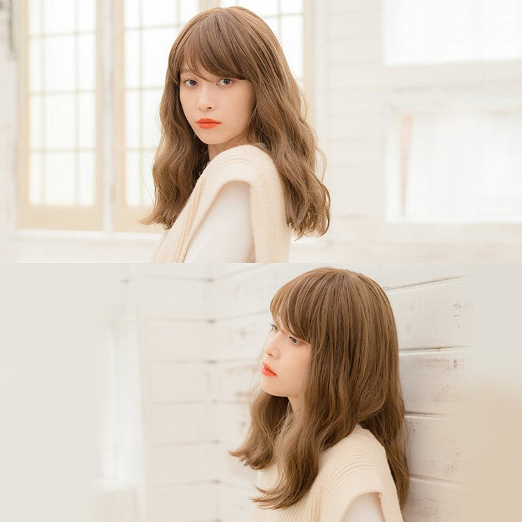 天使のシャルムカール